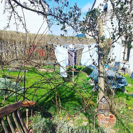 B&B A Quiet Place Tintigny Exteriér fotografie